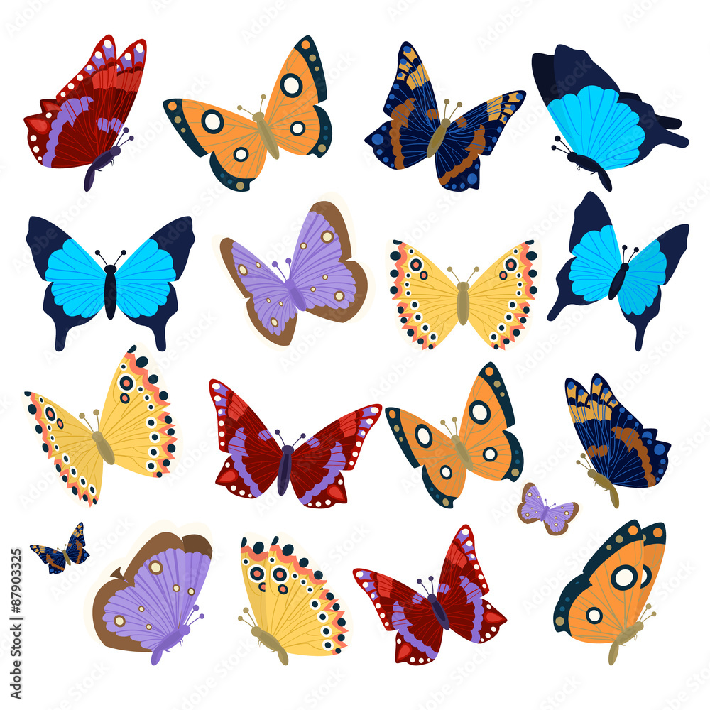 Big collection of colorful butterflies Big collection of colorful butterflies