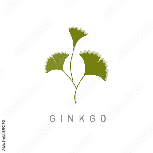 Gingko vector design.