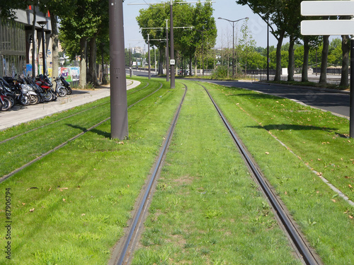 Green tram tracks