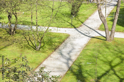 Fototapeta Naklejka Na Ścianę i Meble -  Top view of a Italian garden