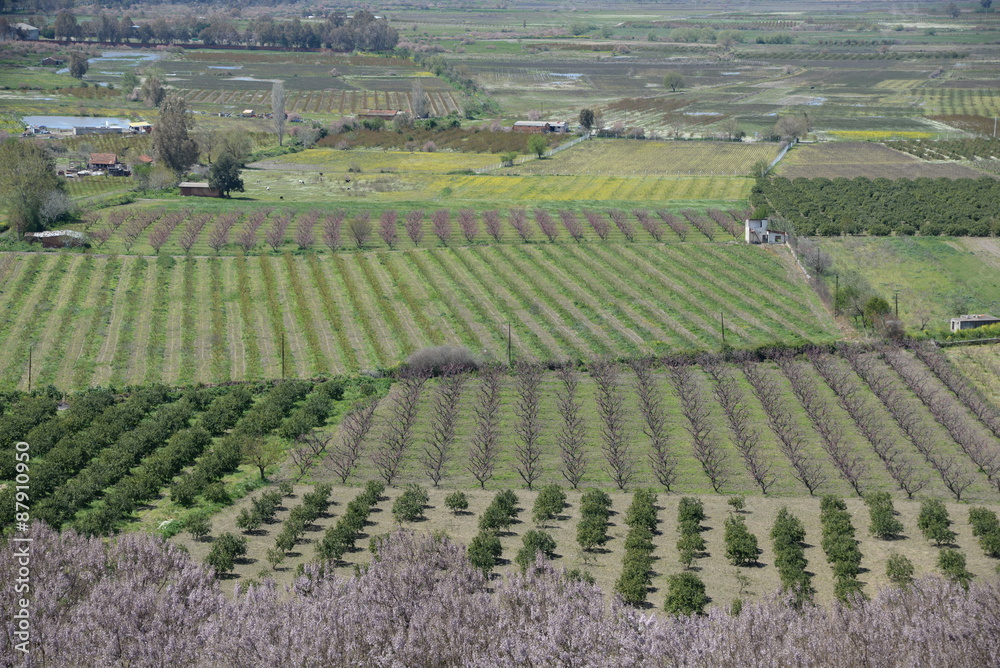 Felder bei Selcuk, Türkei