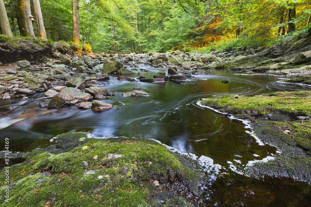 Fototapeta premium Mountain Stream In Evening Light