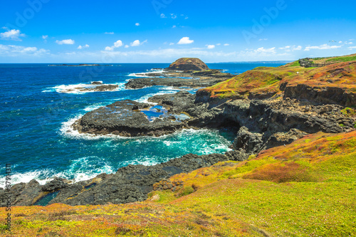 The Nobbies Phillip Island photo