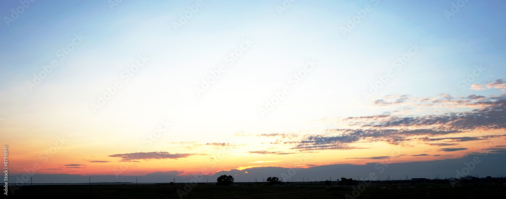Naklejka premium sunset, landscape with tree