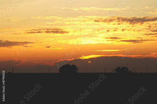 sunset, landscape with tree