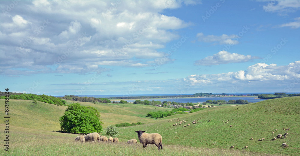 die Zickerschen Alpen auf dem Mönchgut bei Groß Zicker,Insel Rügen,MVP,Deutschland