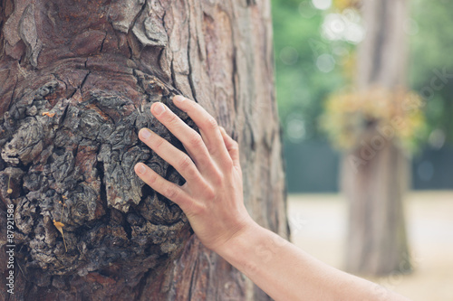 Female hand touching tree in forest