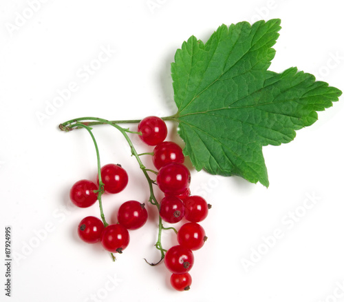berries of red currant
