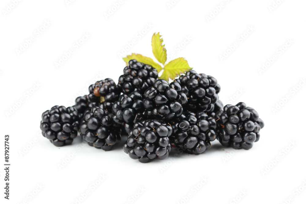 Blackberries isolated on a white
