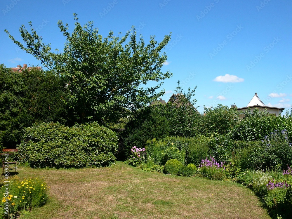 Großer privater Garten im heißem Sommer mit trockenem Gras bei blauem