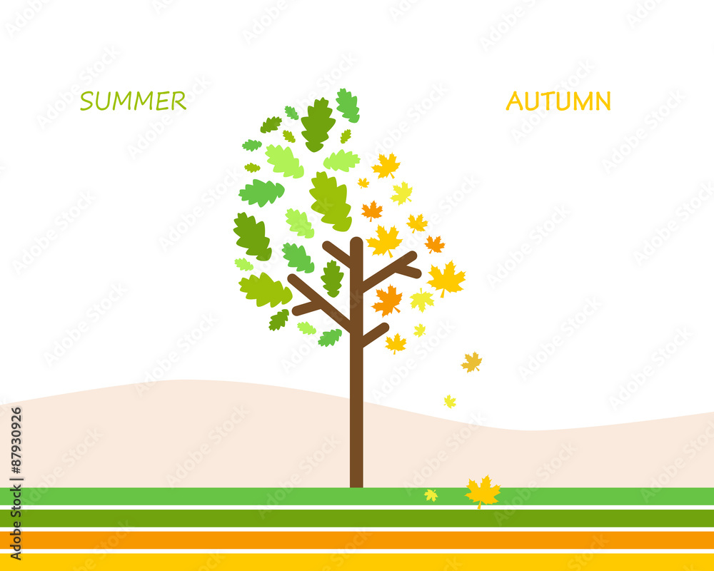 Obraz premium Summer autumn