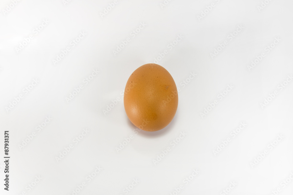 Egg isolated