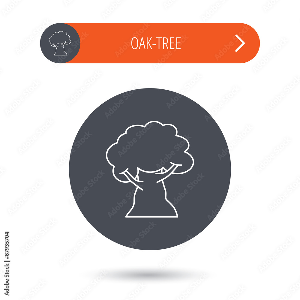 Oak tree icon. Forest wood sign. Oak tree icon. Forest wood sign.