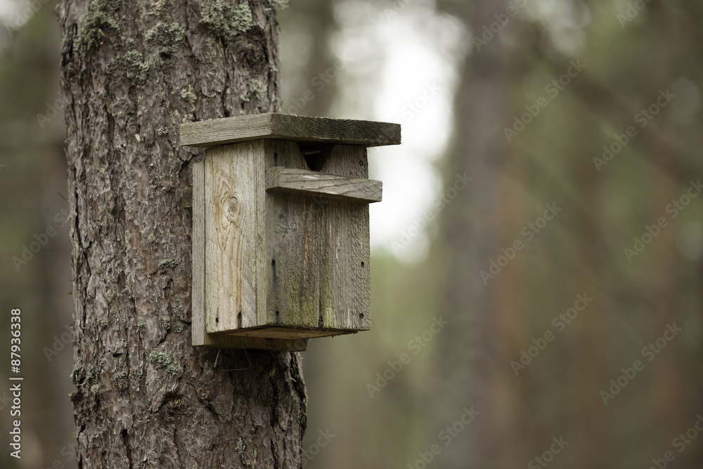 Bird house in a tree