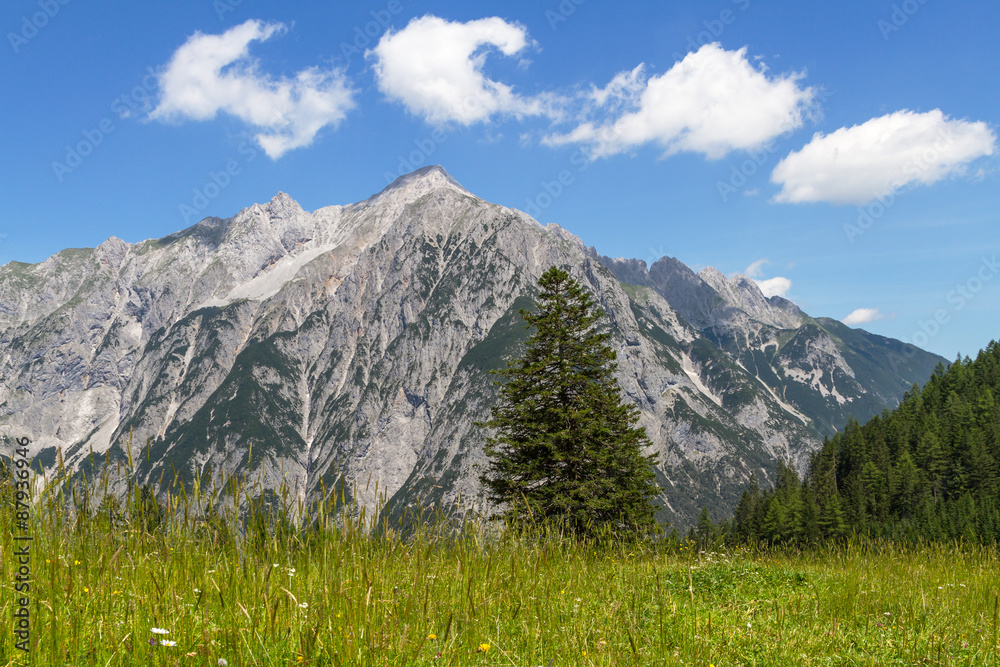 Fototapeta premium Alpine Meadow with Mountain Range in Background. Austria, Tirol.