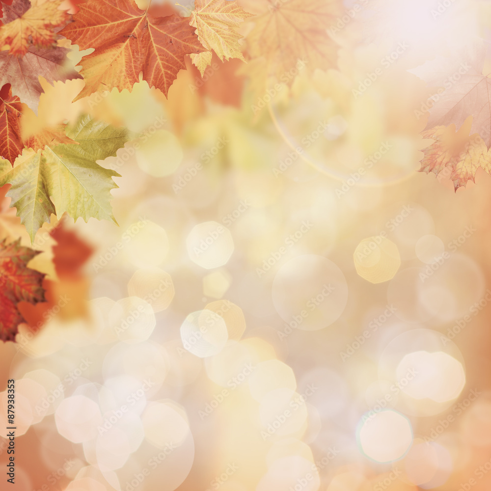 Abstract autumnal backgrounds with beauty bokeh