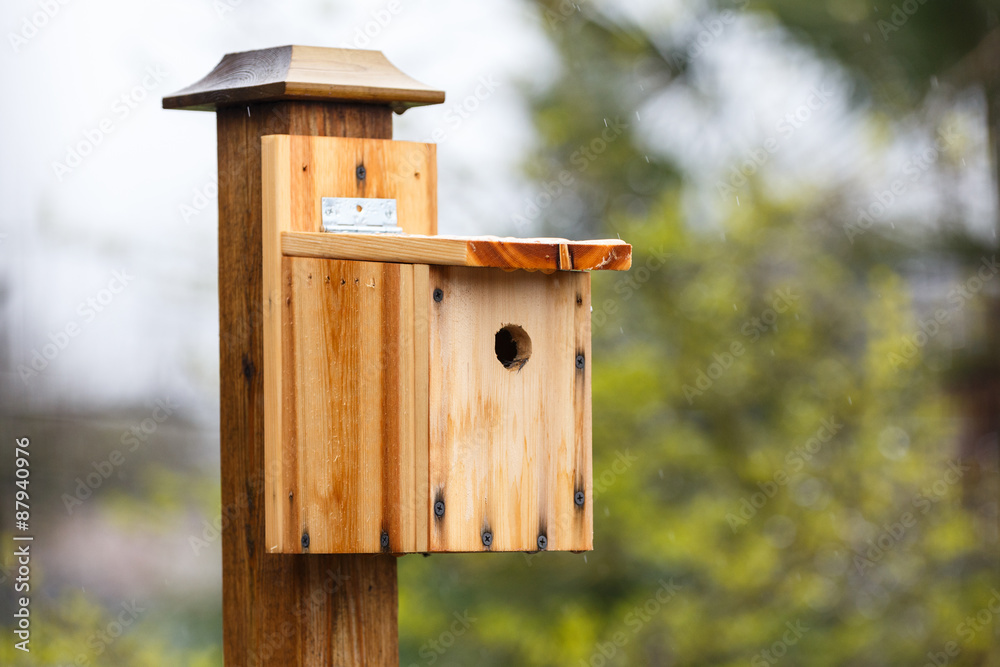 DIY wood birdhouse