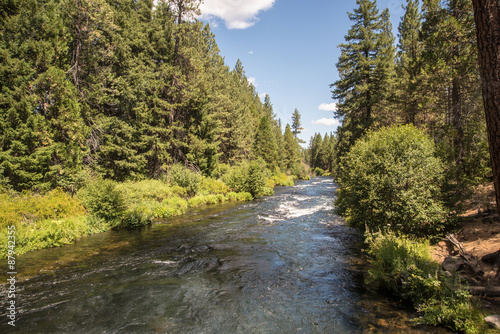 Metolius River flows through a Ponderosa Pine forest in the central Oregon Cascade Mountains