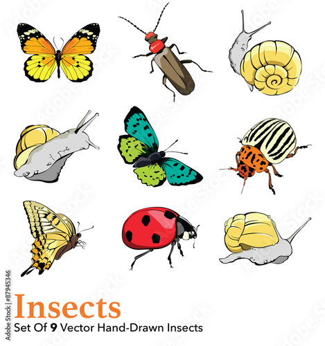 Vector Insects 9 Elements Set Seamless Pattern © Oksancia