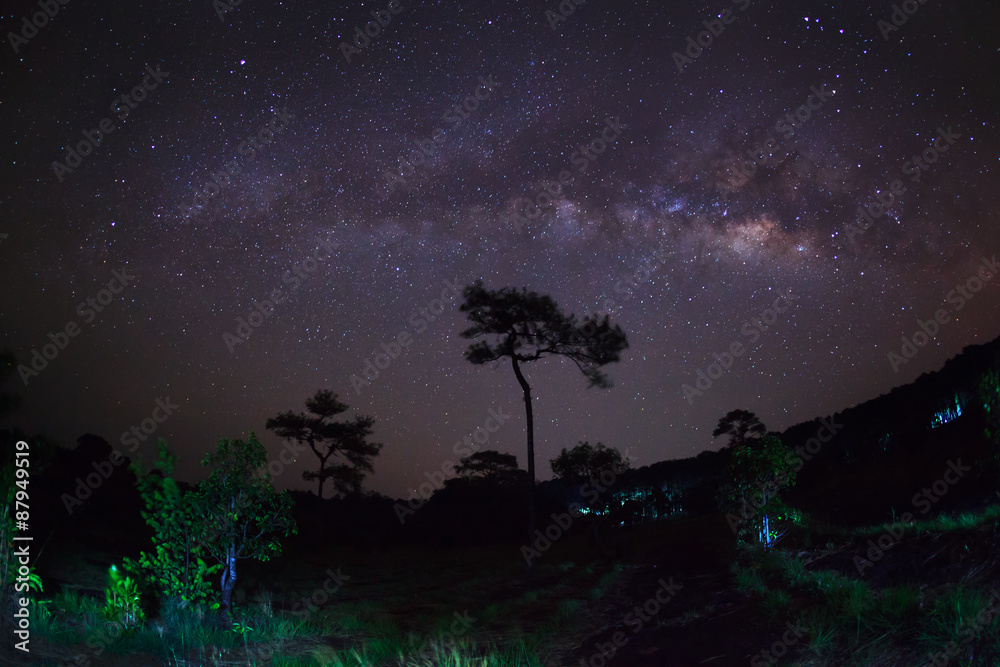 Silhouette of Tree with cloud and Milky Way. Long exposure photo Silhouette of Tree with cloud and Milky Way. Long exposure photo