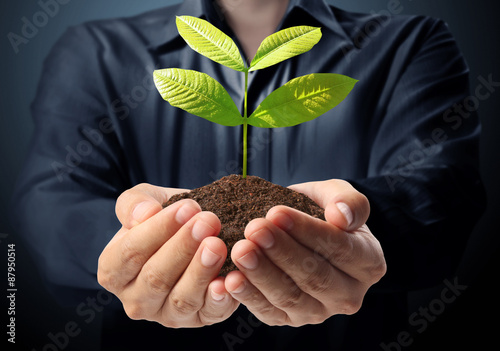  man hands holding plant