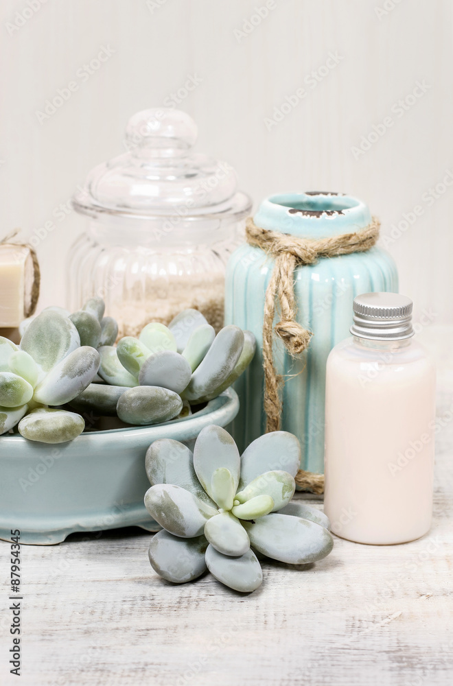 Moisturizing dry skin: set of cosmetics and succulent plants