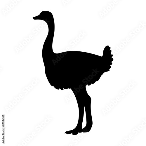 outlines of an ostrich