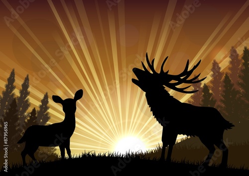 Silhouette a kangaroo and deer the standing in the bright dusk