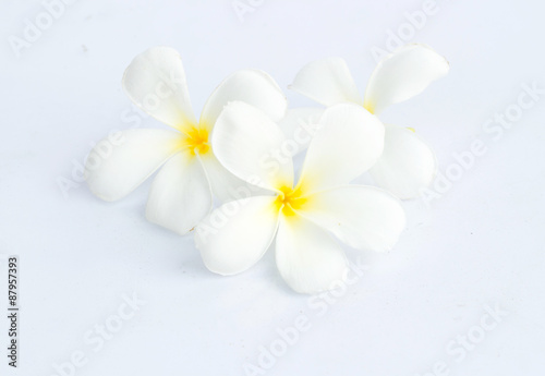 Tropical flowers frangipani (plumeria) isolated on white background.