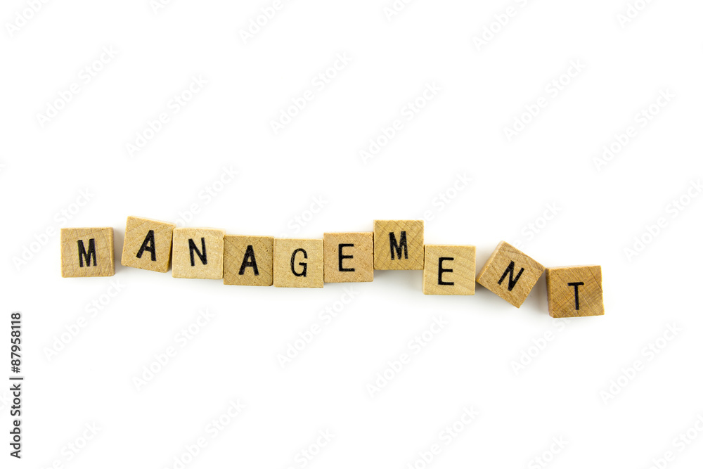 Management text on wooden cubes, isolated on white background Management text on wooden cubes, isolated on white background