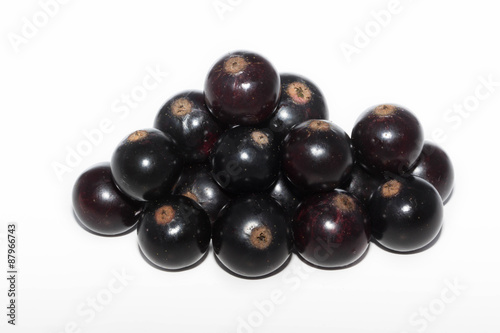 black currant isolated