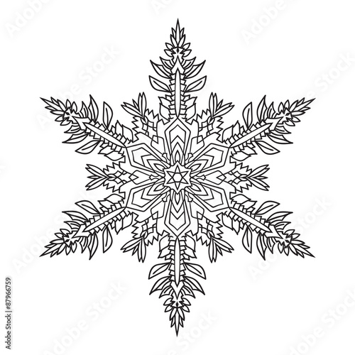 Hand-drawn doodles natural snowflake. Zentangle mandala style.
