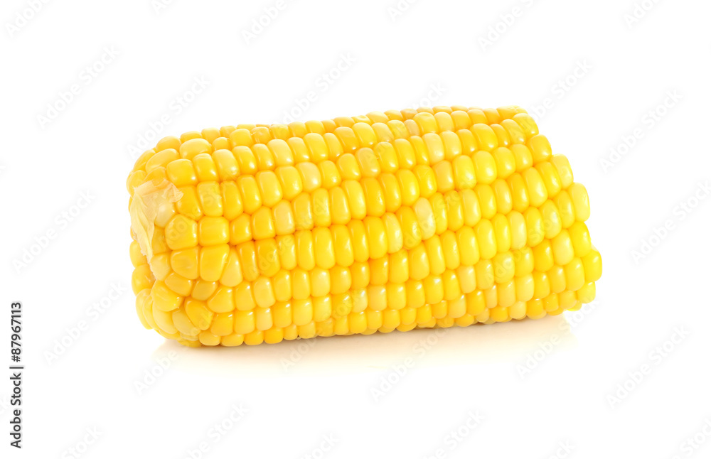 ears of Sweet corn isolated on white background ears of Sweet corn isolated on white background