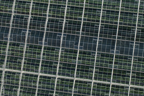 aerial view of greenhouses