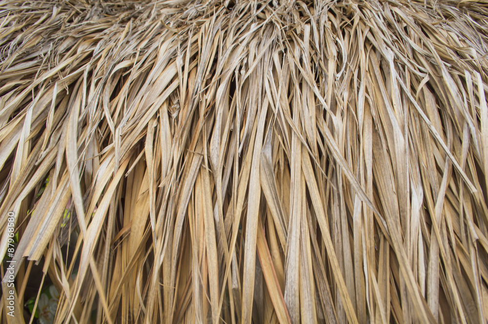 The leaves of brown thatched roof, used as background The leaves of brown thatched roof, used as background