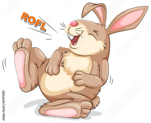 Rabbit