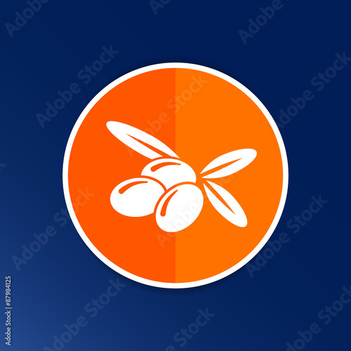 Olives Logo design vector template icon symbol