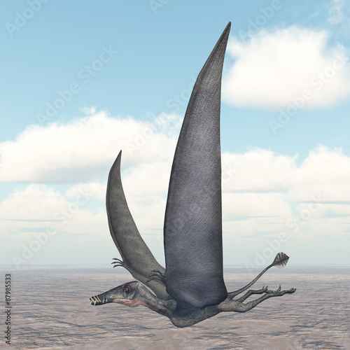 Pterosaur Dorygnathus photo