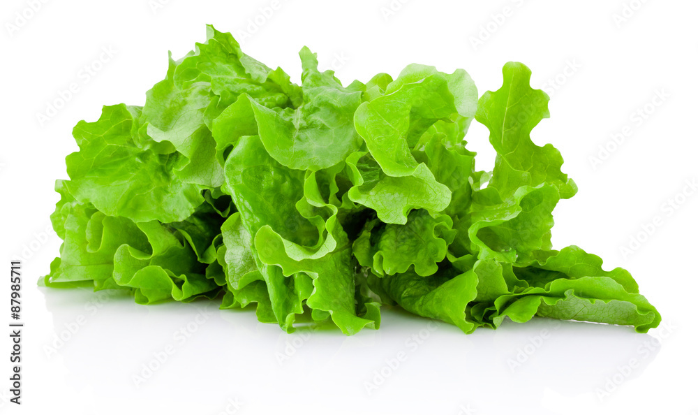 Fresh green lettuce isolated on a white background Fresh green lettuce isolated on a white background