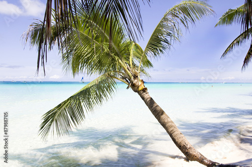 palm tree  white sand and turquoise sea water  Philippines  Boracay