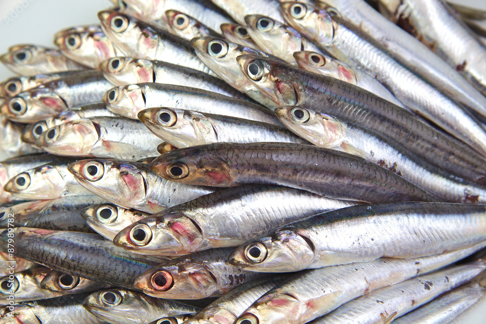Fototapeta premium Fresh raw mediterrean anchovies