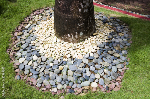 Detail of tropical garden in Boracay, Philippines