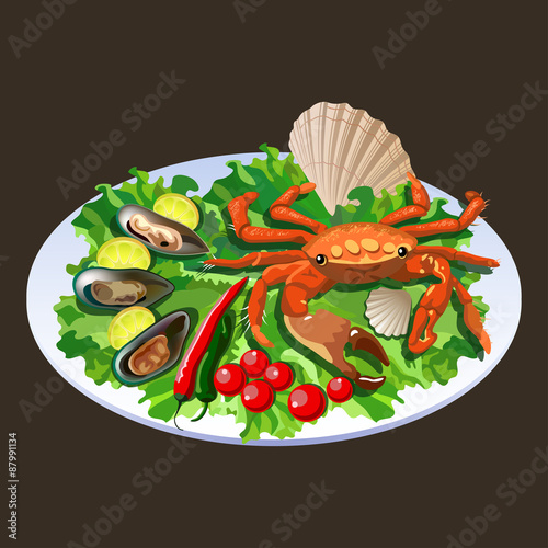 Crab in salad - vector