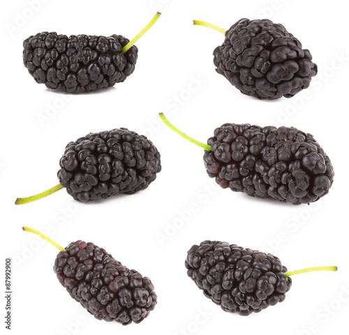 Black mulberry