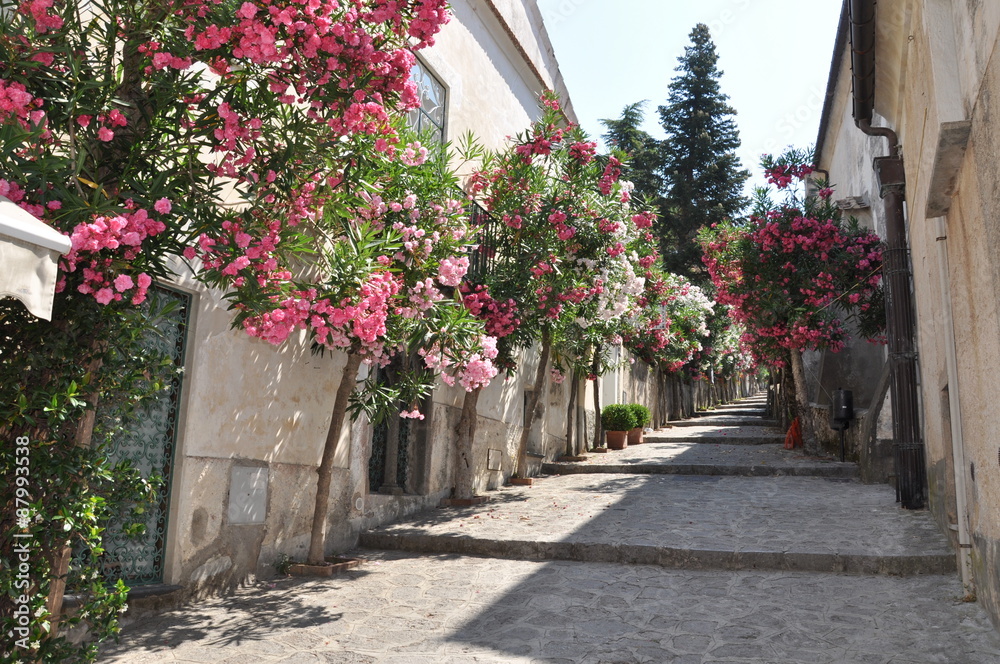 Narrow stone street with flowers in italian town