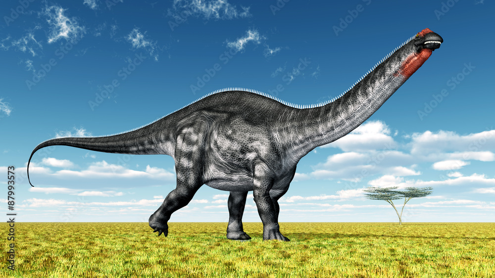 Fototapeta premium Dinosaur Apatosaurus
