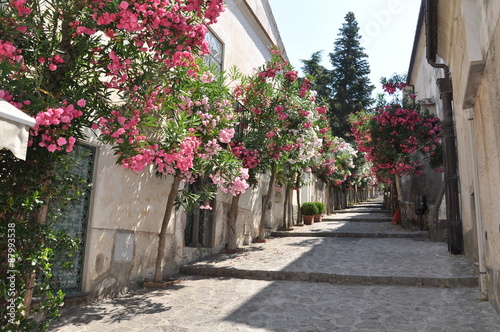 Fototapeta Naklejka Na Ścianę i Meble -  Narrow stone street with flowers in italian town