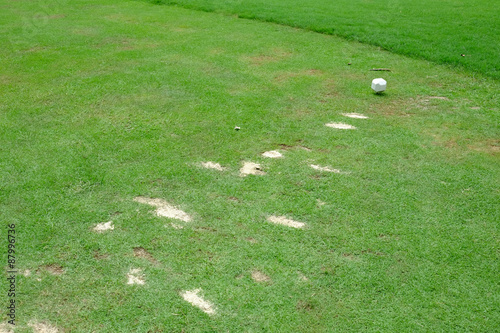 Divot on golf teeing ground