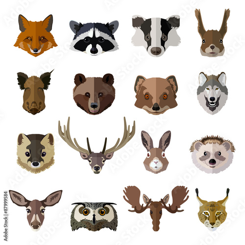 Set of forest animals faces isolated icons. Flat style design. 