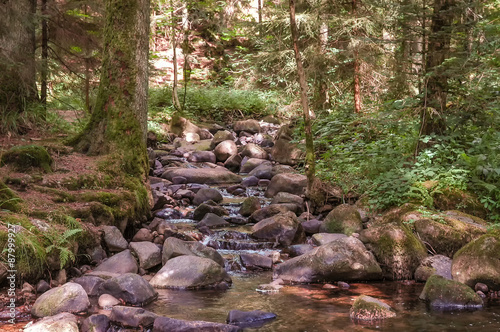 ruisseau en forêt